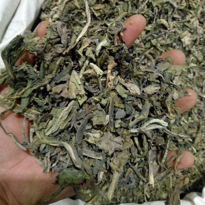 大青叶供应上千种中药材