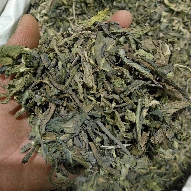 大青叶供应上千种中药材