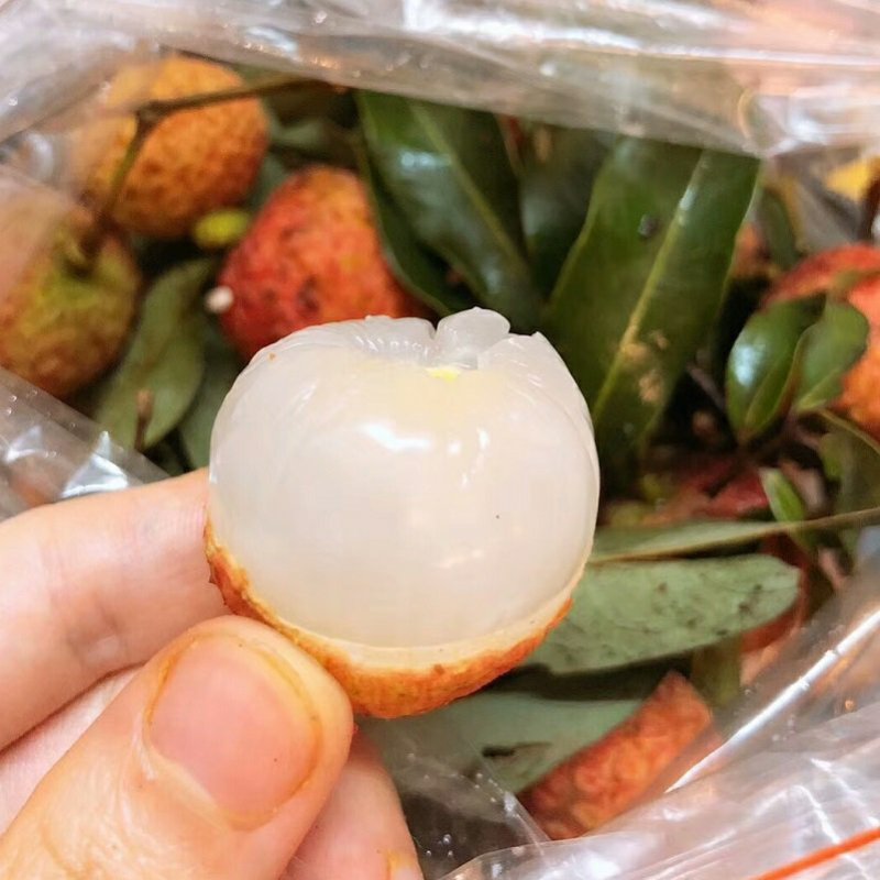 广西灵山鲜荔枝新鲜现摘桂味