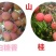 广西灵山鲜荔枝新鲜现摘桂味