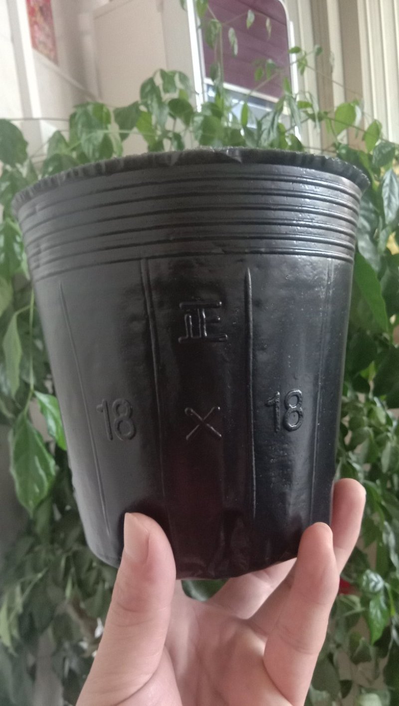 育苗袋包邮到家！尺寸齐全
