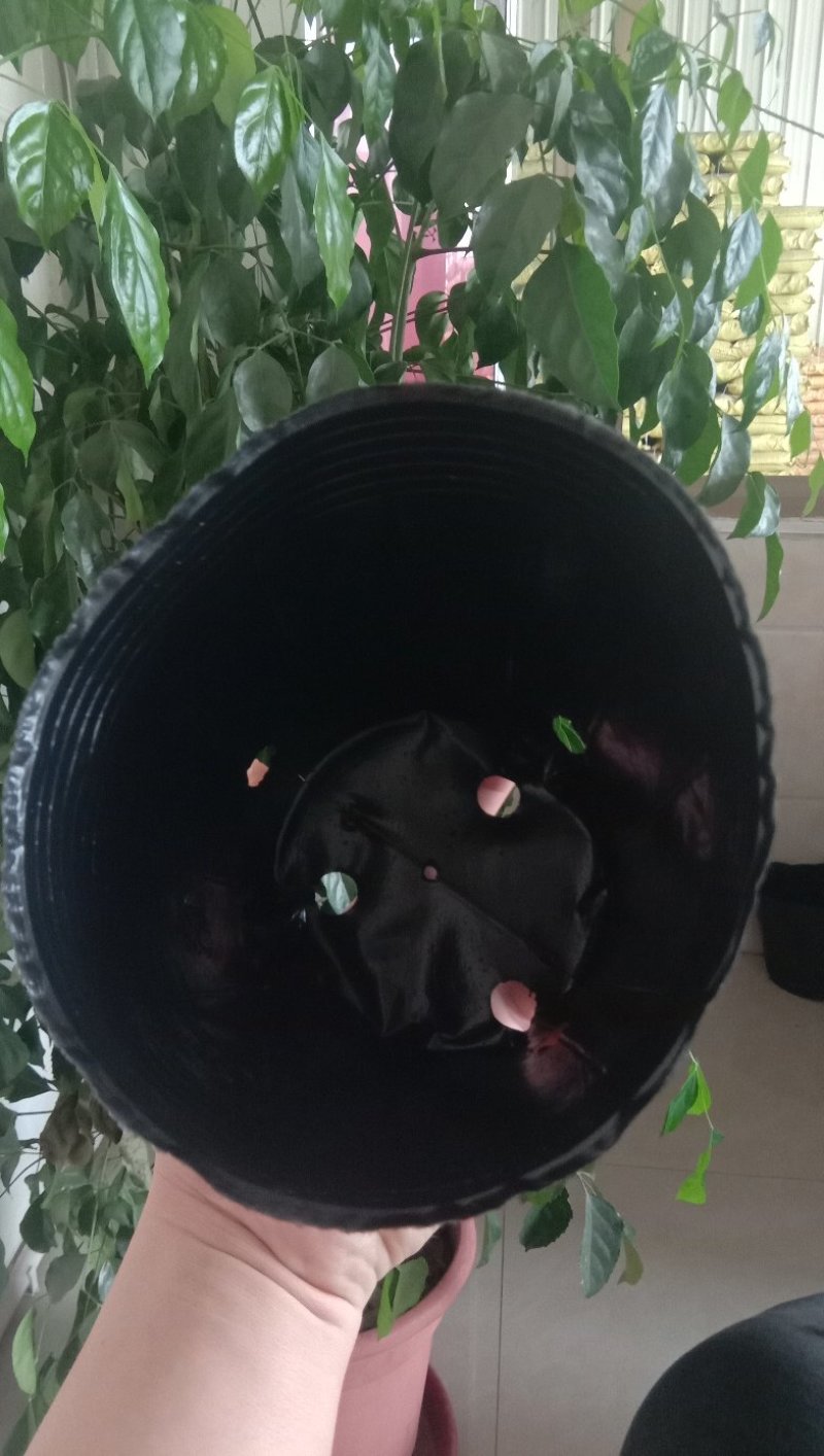 育苗袋包邮到家！尺寸齐全