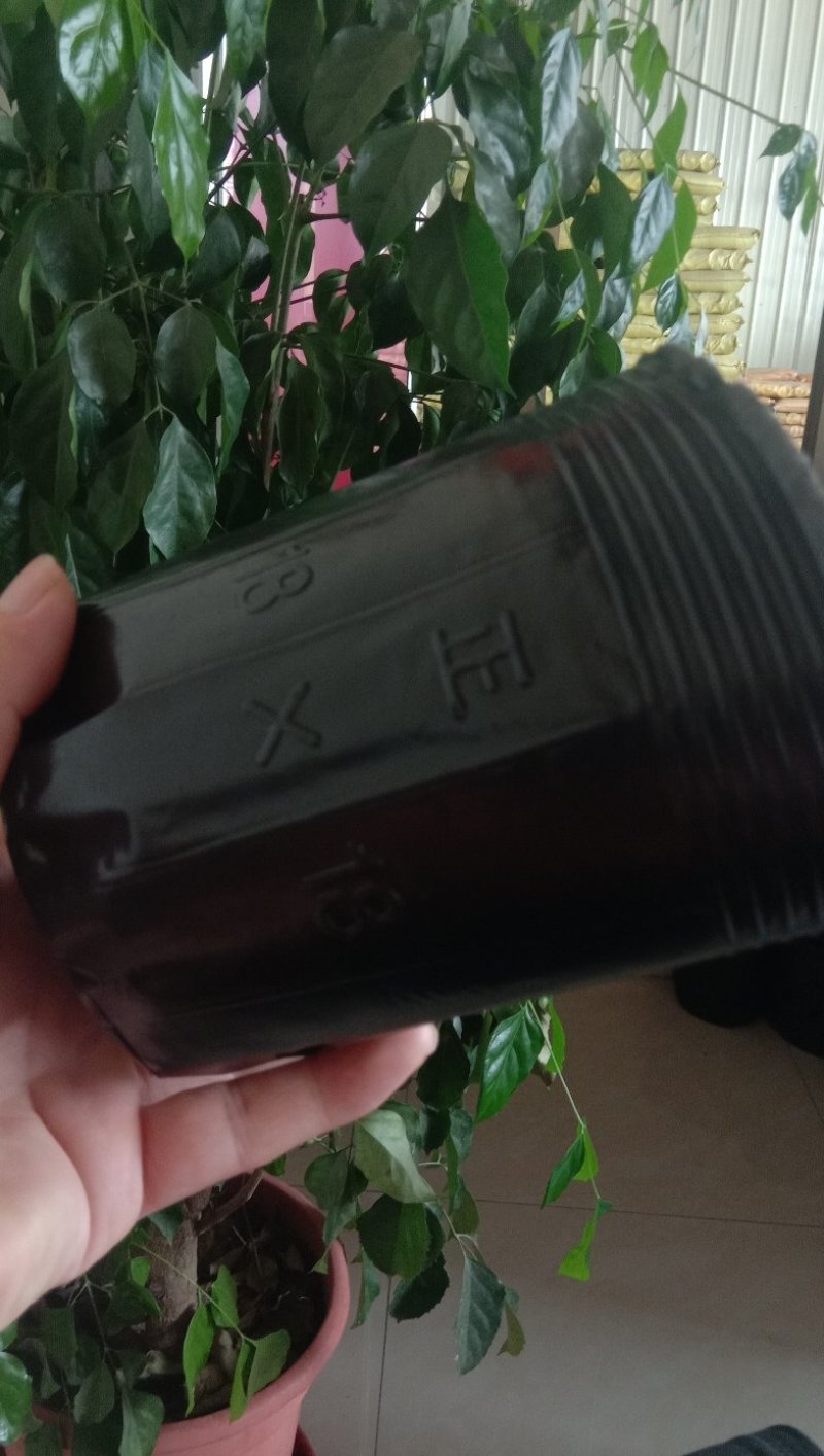 育苗袋包邮到家！尺寸齐全