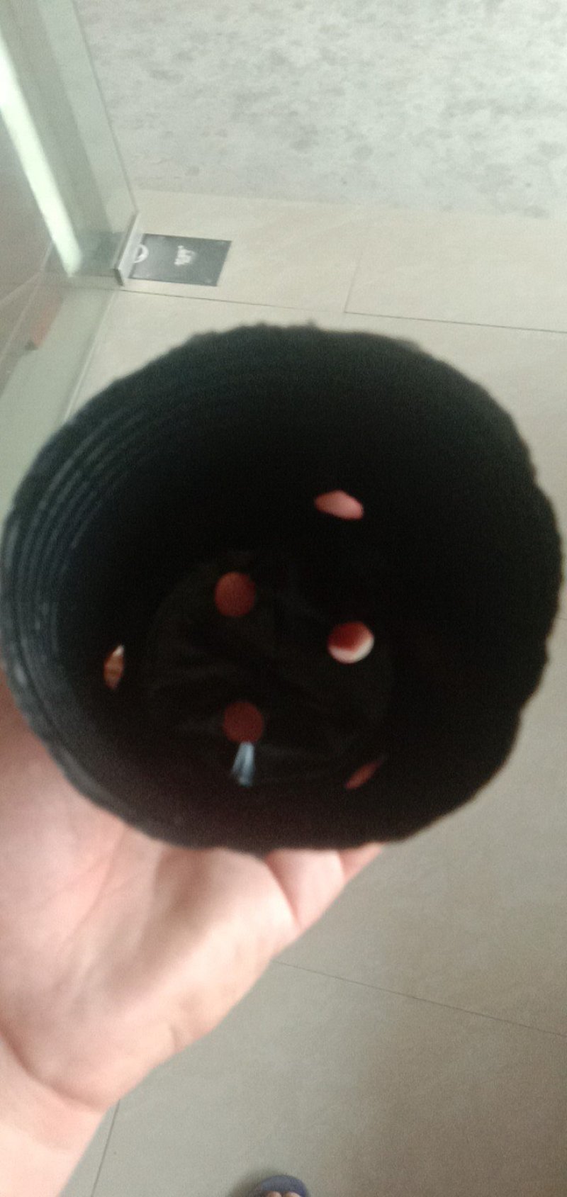 育苗袋包邮到家！尺寸齐全