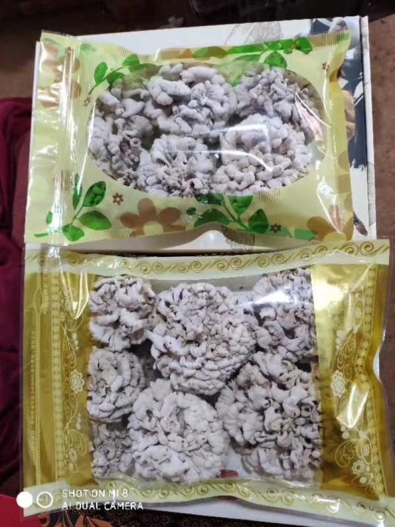 白参菌，新鲜现摘，干货