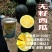 黄瓤黑皮无籽西瓜种子金露无籽原装50克可种一亩包邮