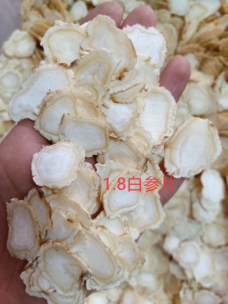 【包邮】白参片吉林长白山0.8~1.8直径各种规格