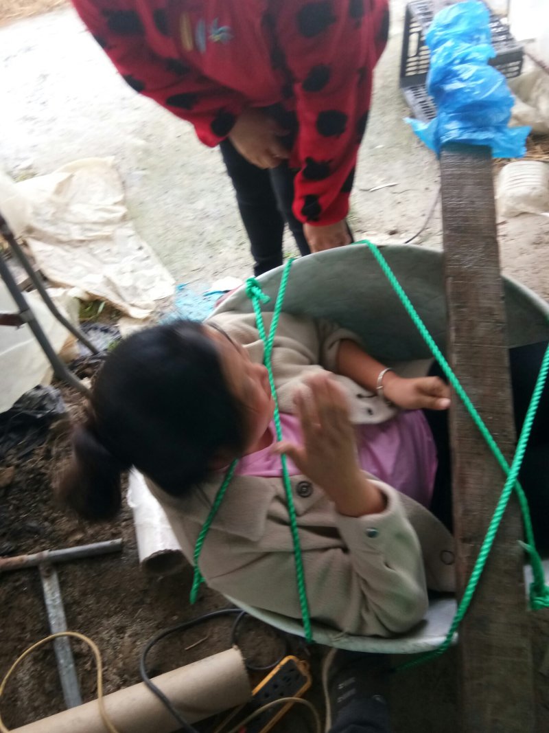 西瓜8424货真价实