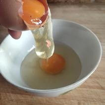 土鸡蛋双色360枚/箱10枚一斤蒸炒金黄色