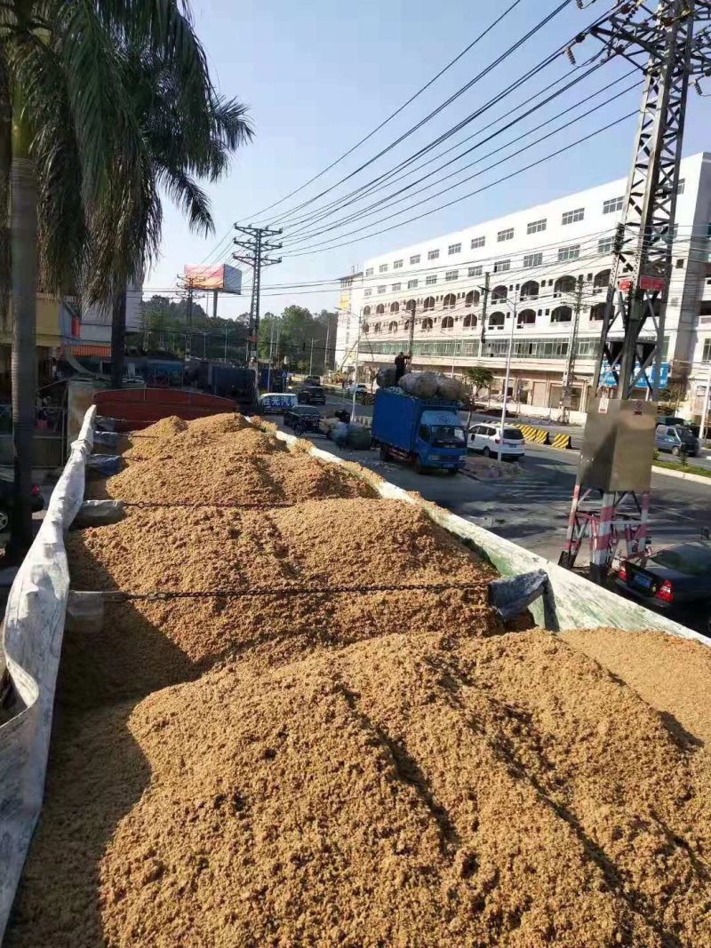 出售新鲜高蛋白质啤酒糟粗糟是养牛首先牛料。