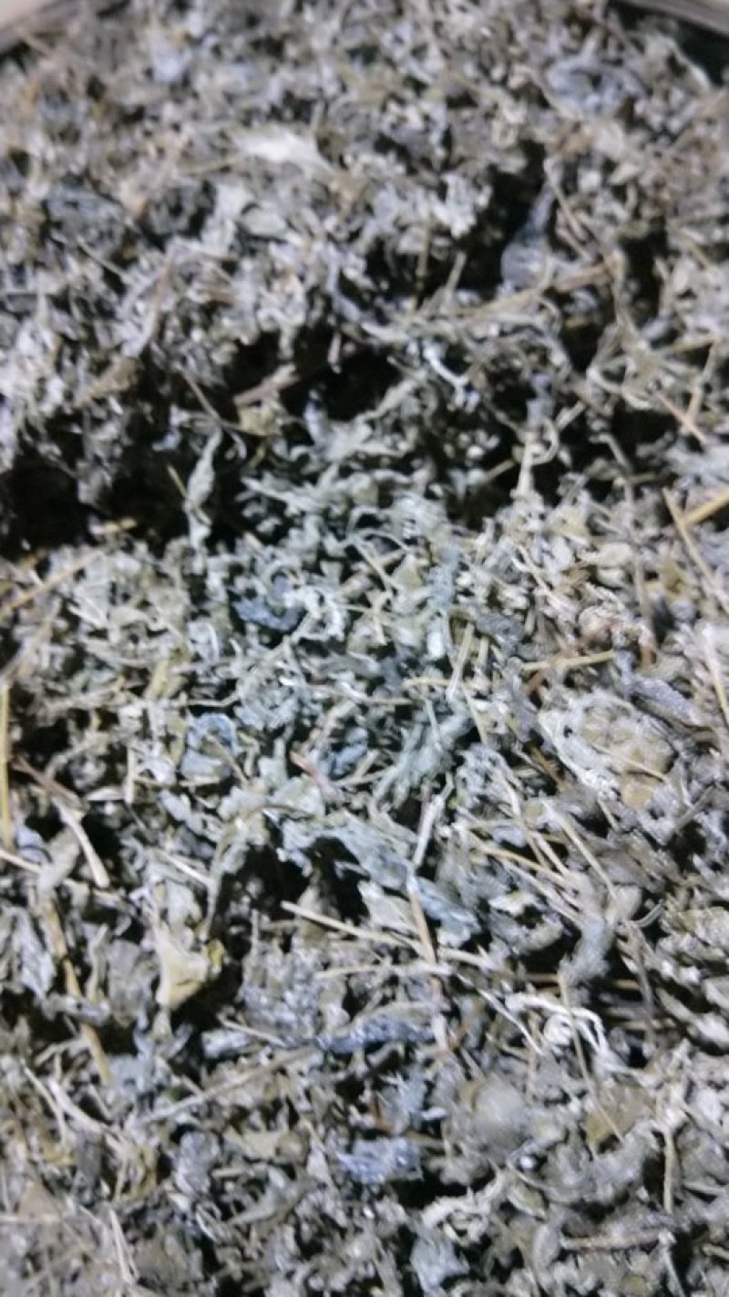 野生藤茶