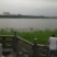 鸭
