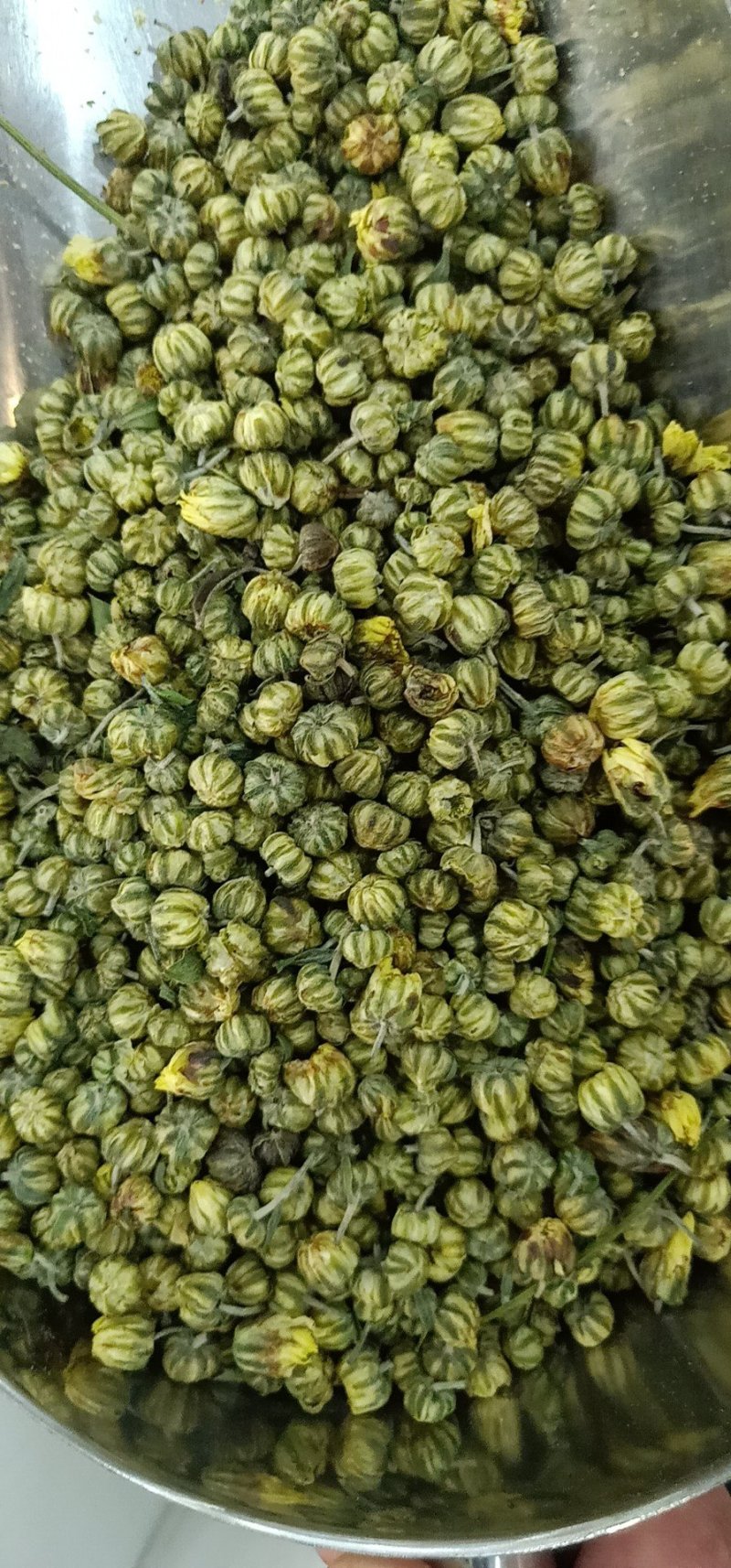 胎菊王各种规格批发胎菊米桐乡胎菊新货零售各种规格