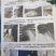金蝉种苗100根包邮