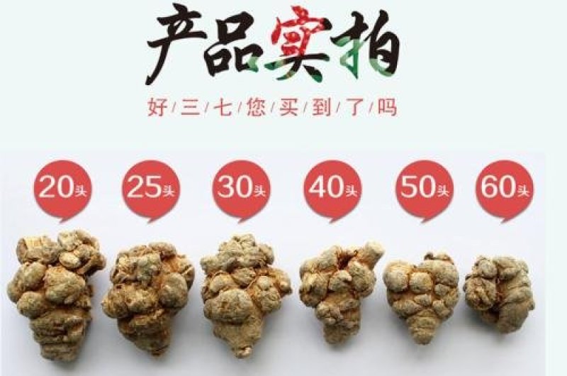 三七20头35030头19540头165可打粉