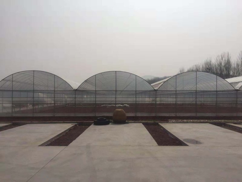 需要养殖大棚，种植大棚，连栋单体大棚，大棚骨架