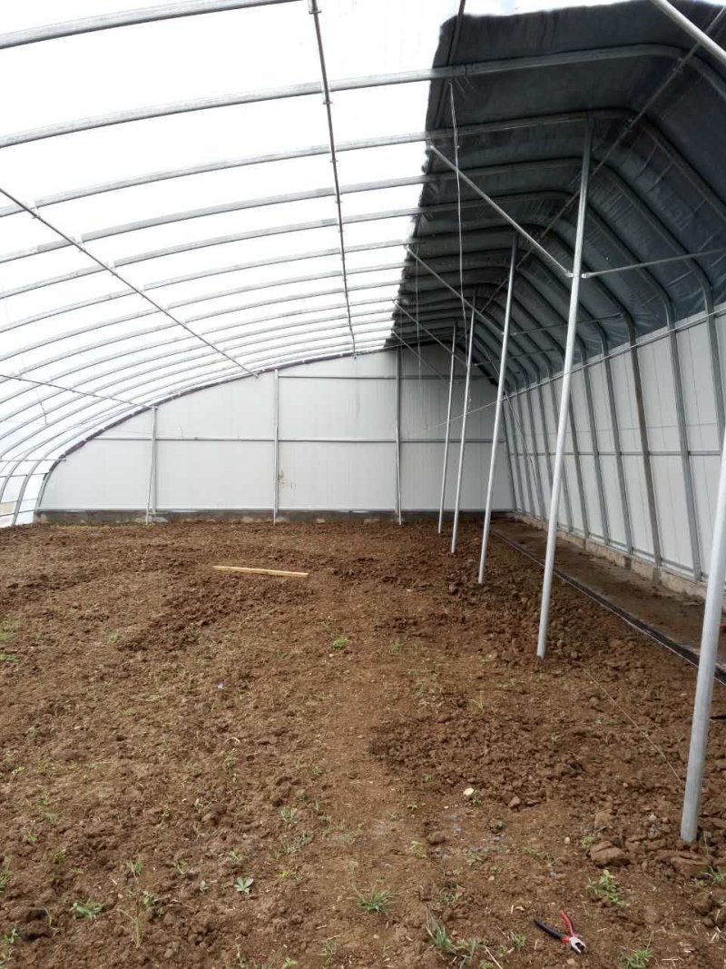 需要养殖大棚，种植大棚，连栋单体大棚，大棚骨架