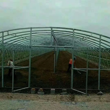 需要养殖大棚，种植大棚，连栋单体大棚，大棚骨架