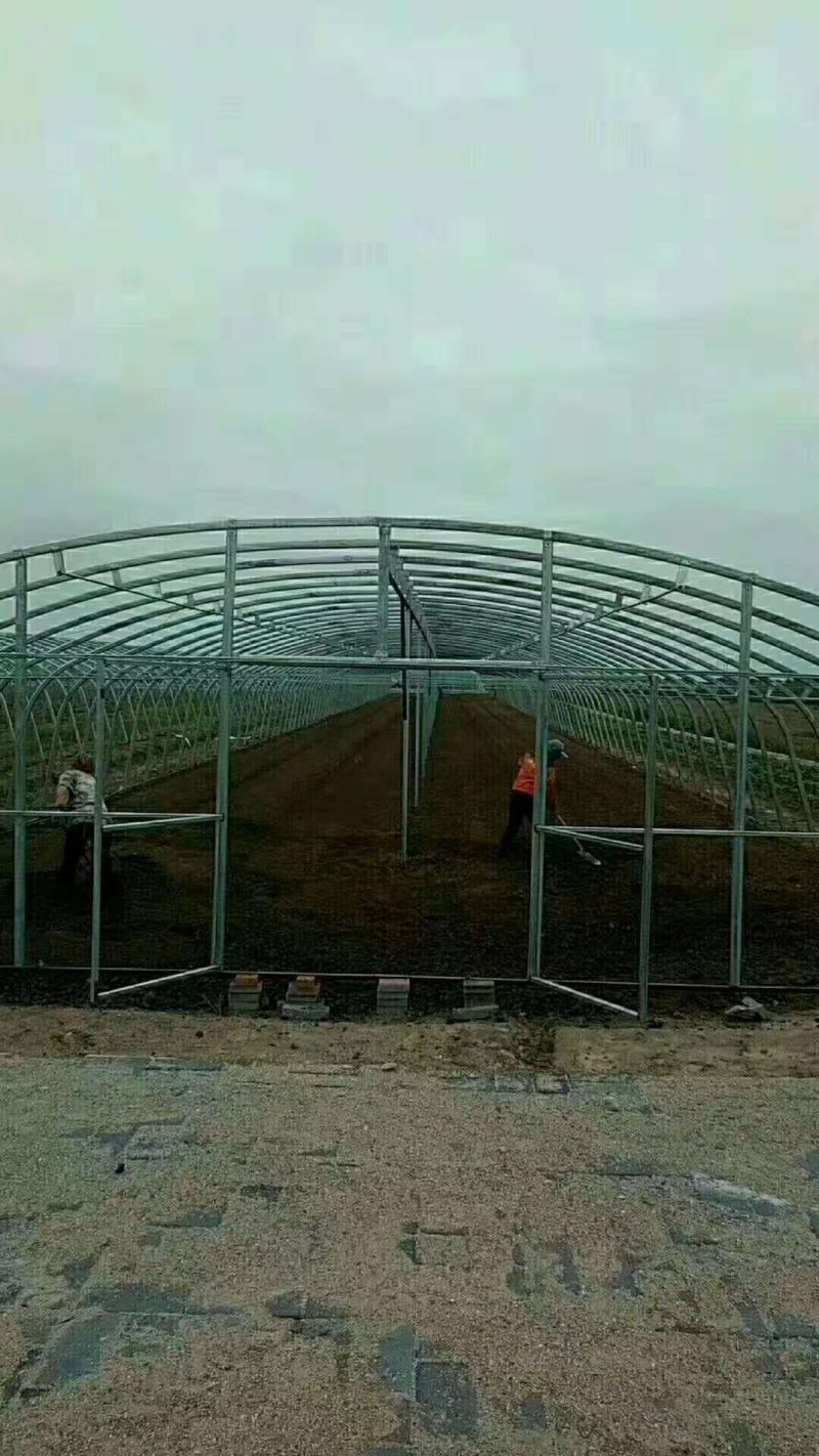 需要养殖大棚，种植大棚，连栋单体大棚，大棚骨架
