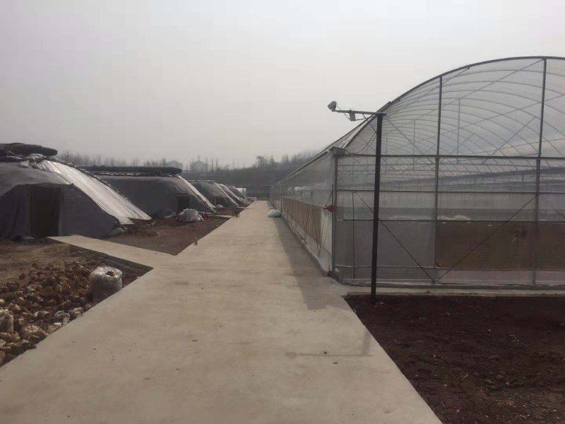 需要养殖大棚，种植大棚，连栋单体大棚，大棚骨架