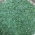 【峨眉雪芽】口感，芽坯，汤色都不错，支持全囯一件代发
