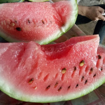 麒麟西瓜