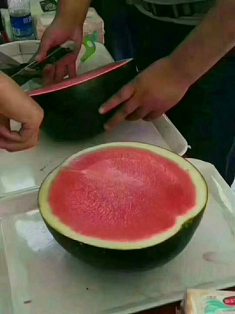 西瓜大量上市