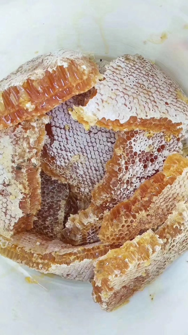 野生蜂蜜