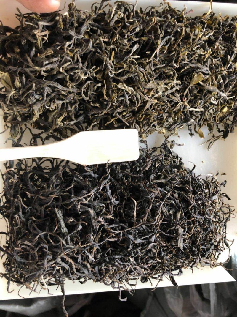普洱茶