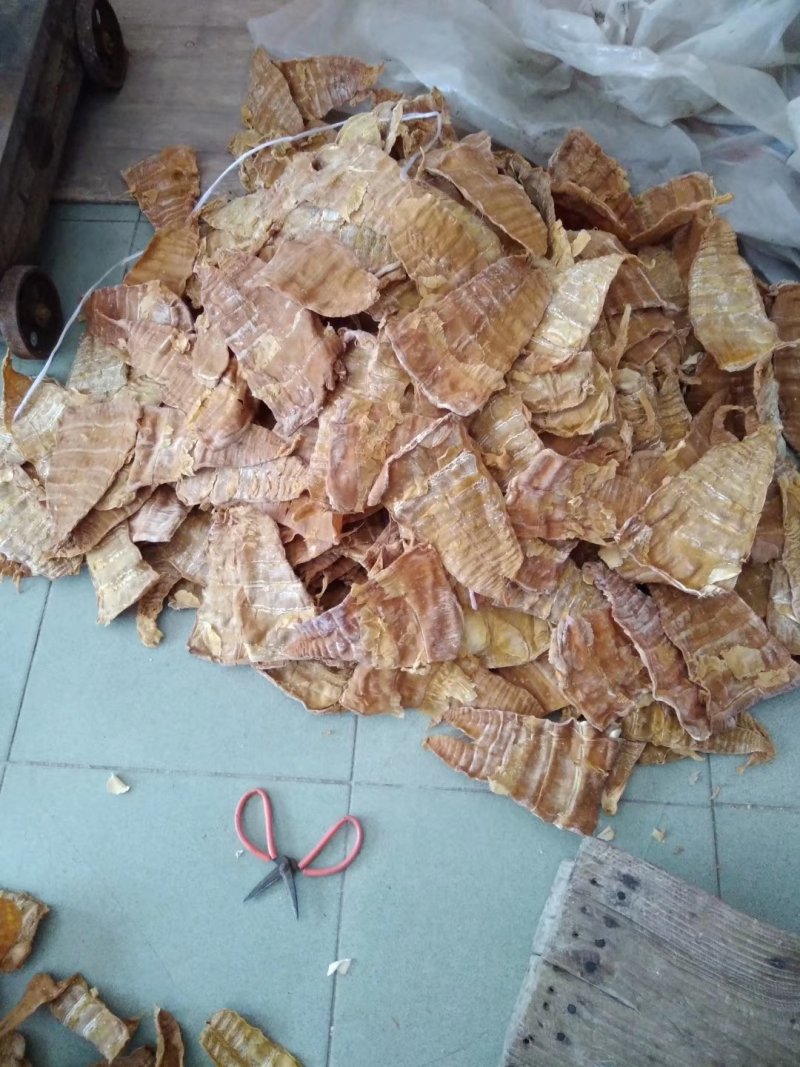 干笋产地直销大量笋角笋干散装1年麻竹笋苗