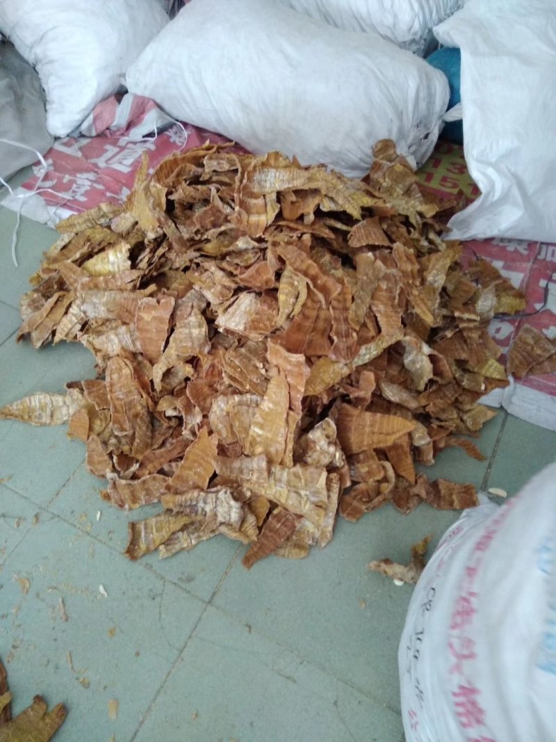干笋产地直销大量笋角笋干散装1年麻竹笋苗
