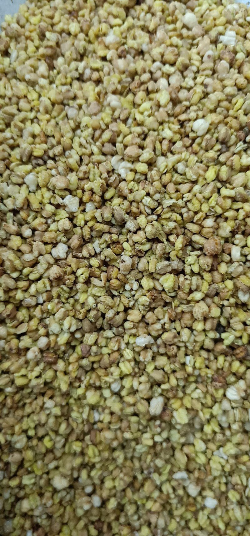 苦荞茶黑苦荞茶黄苦荞茶泡水泡茶均可