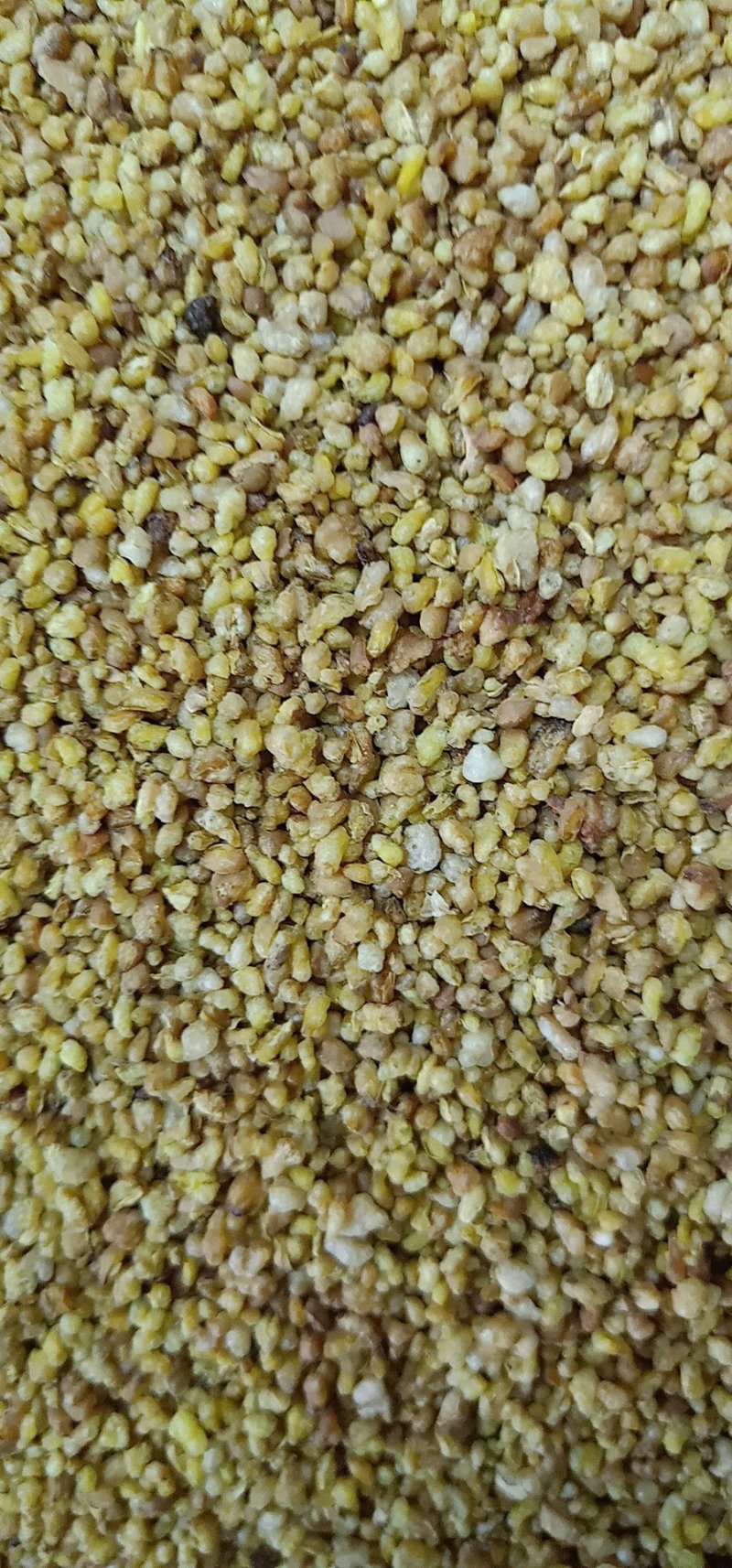 苦荞茶黑苦荞茶黄苦荞茶泡水泡茶均可