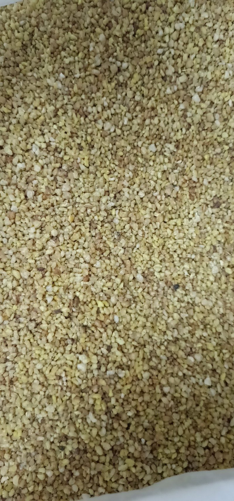 苦荞茶黑苦荞茶黄苦荞茶泡水泡茶均可