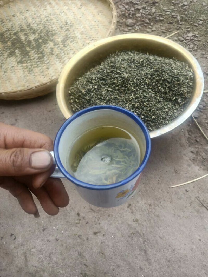 云南高山绿茶。