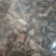 包邮紫荆皮一公斤起批量大从优欢迎咨询
