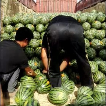 西瓜