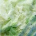 大量供应成品净菜(包菜块)