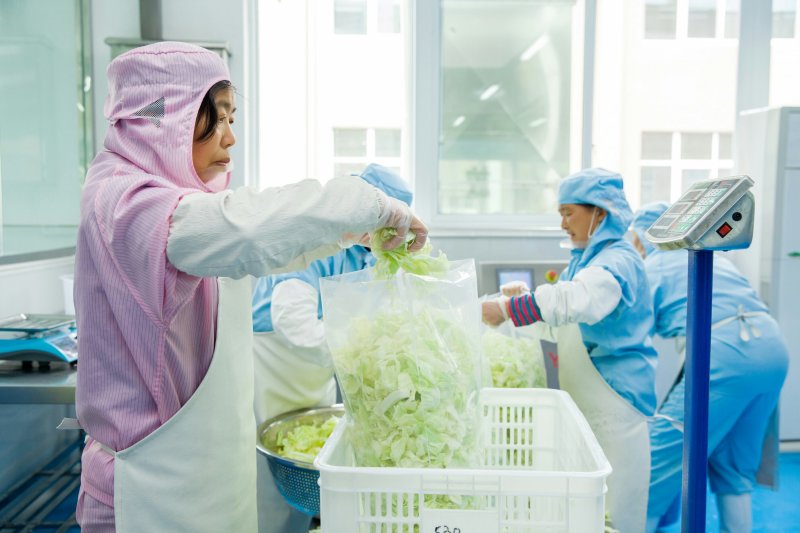 大量供应成品净菜(包菜块)