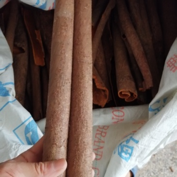 广西肉桂桂皮纯天然晒干无硫包邮价