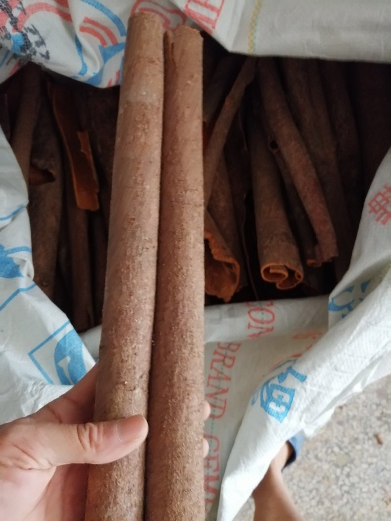 广西肉桂桂皮纯天然晒干无硫包邮价
