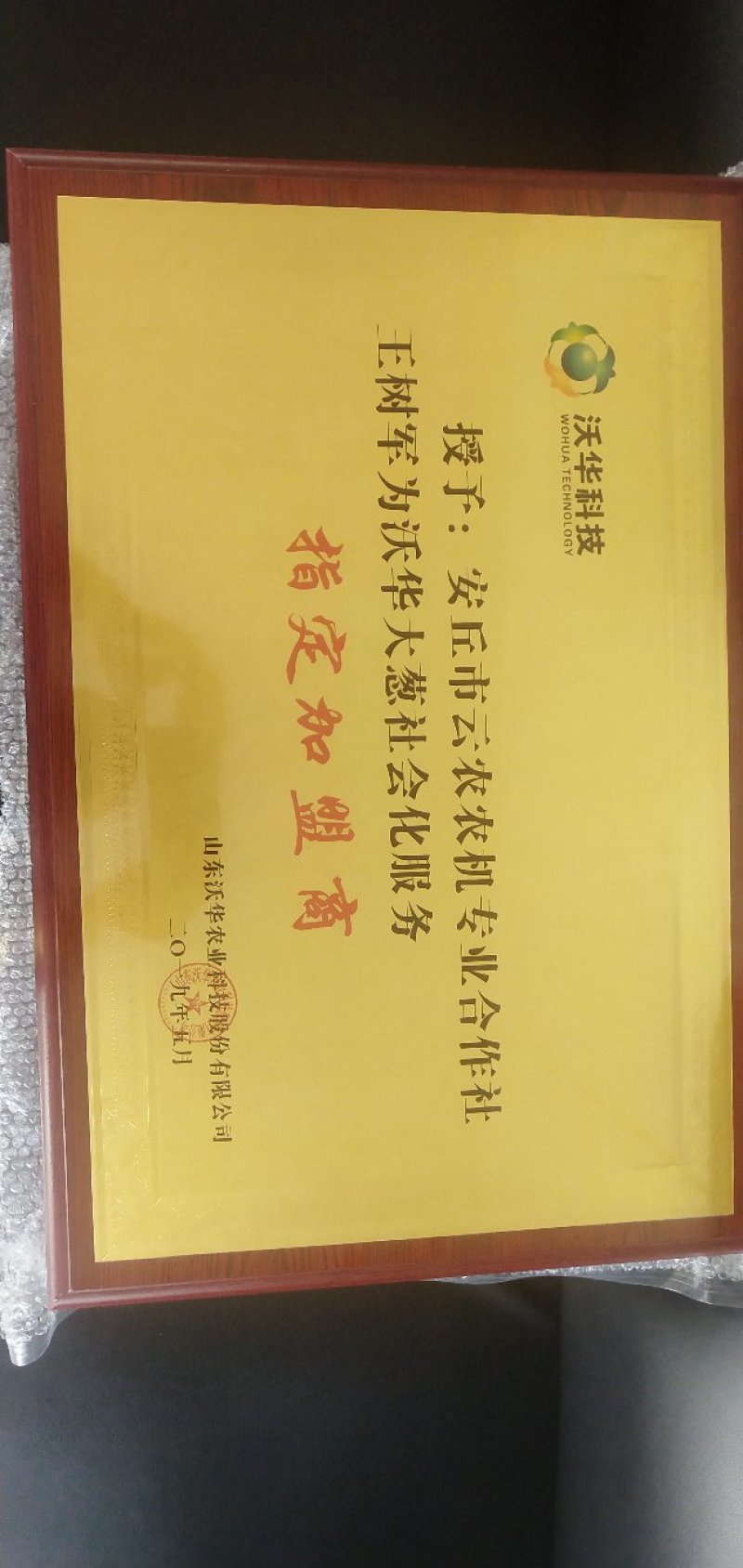 【好货推荐】潍坊旭峰大葱育苗合作社，出售一代葱苗