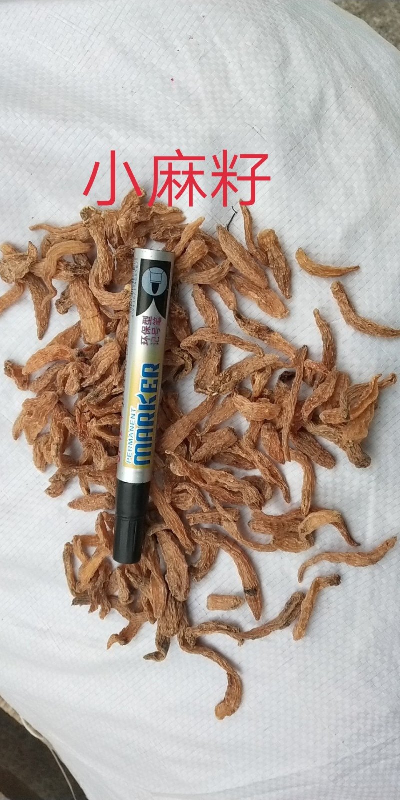 包邮自然环境生长小干天麻籽小金麻籽颜色靓货干形短