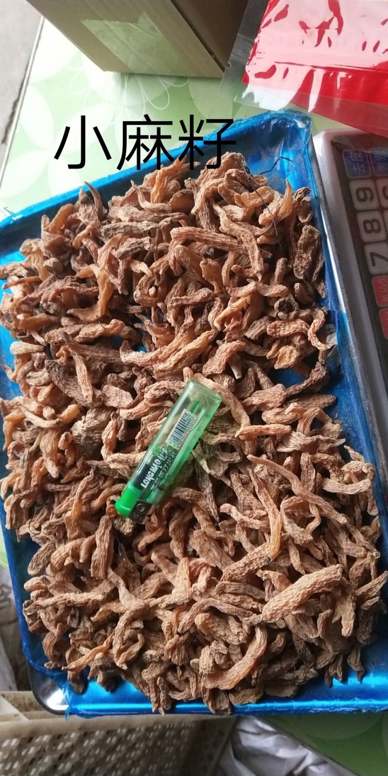 包邮自然环境生长小干天麻籽小金麻籽颜色靓货干形短