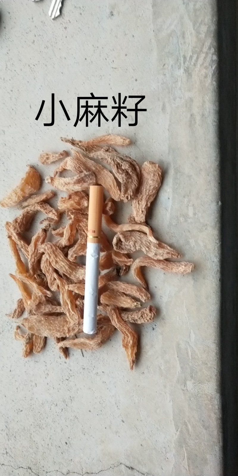包邮自然环境生长小干天麻籽小金麻籽颜色靓货干形短