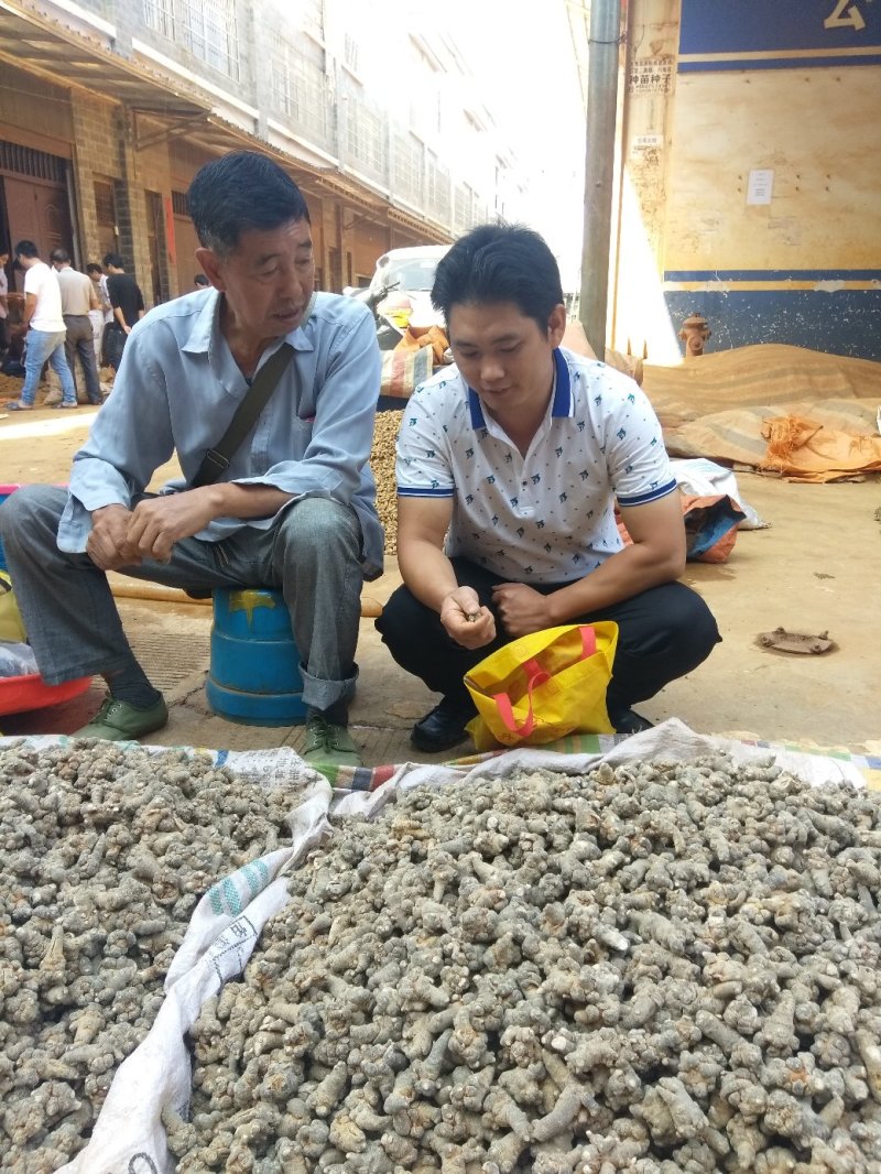 【推荐】正宗云南文山三七产地直供可磨粉可切片
