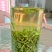绿茶2020特级·楚原生·富硒绿茶·炒青一级芽炒青(6#