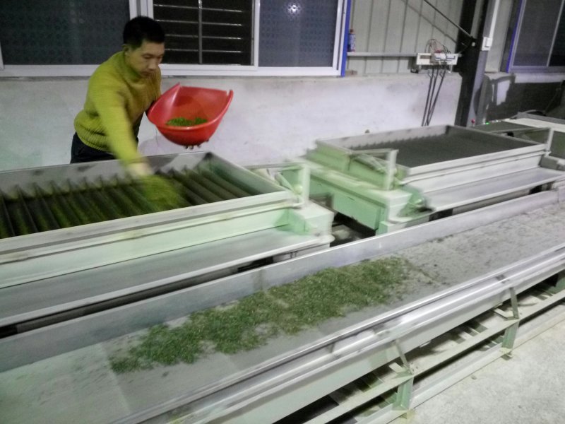绿茶2020特级·楚原生·富硒绿茶·炒青一级芽炒青(6#