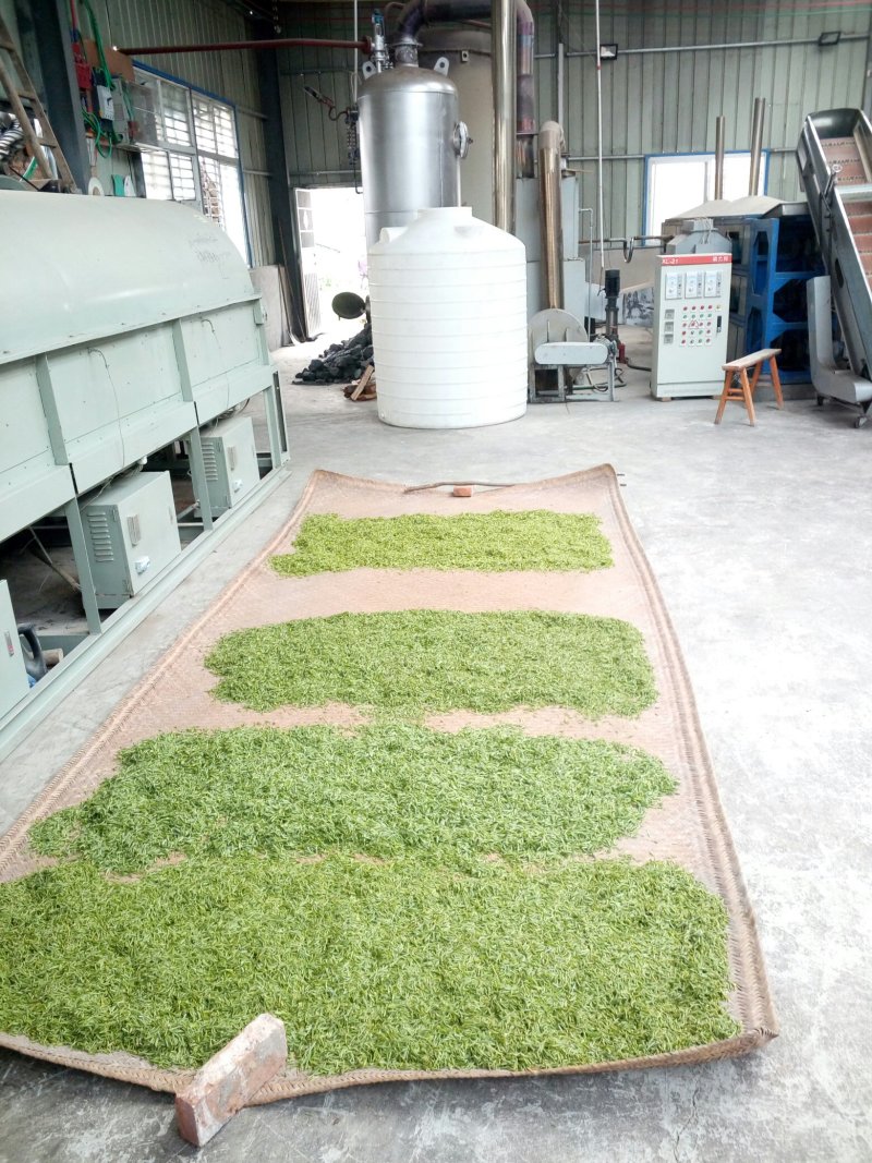 绿茶2020特级·楚原生·富硒绿茶·炒青一级芽炒青(6#