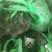 微山湖清水小龙虾大闸蟹